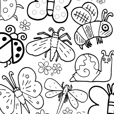 bug coloring page