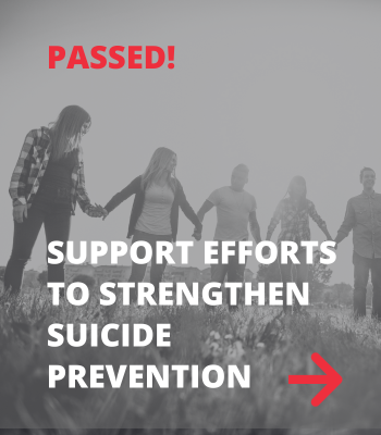 Support efforts to strengthen suicide prevention